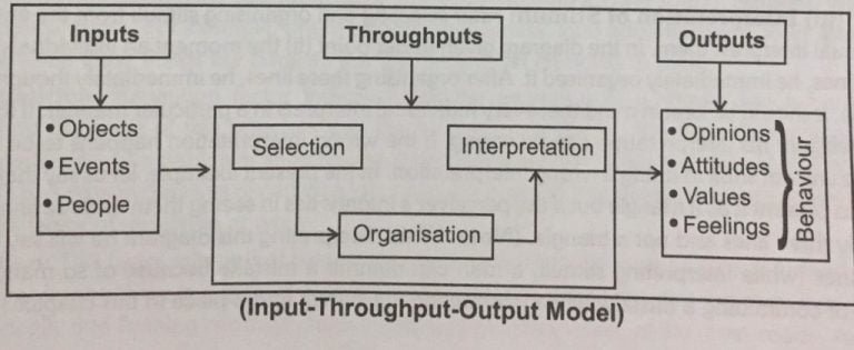 process-of-perception-in-organisational-behaviour